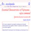 Essential Characteristics of Vajrayana – vajra command